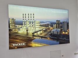 Wacker Bild